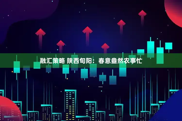 融汇策略 陕西旬阳：春意盎然农事忙